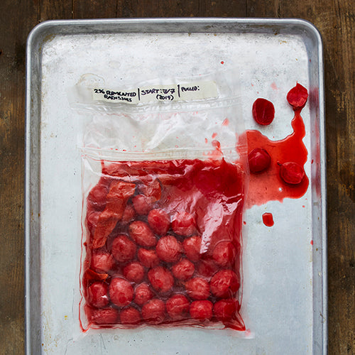FERMENTED RADISHES